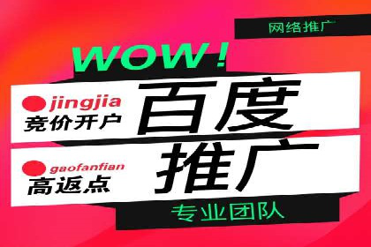 百度推广案例：关键词优化与品牌推广